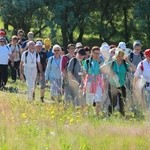 Piesza Pielgrzymka Powołaniowa do Rokitna