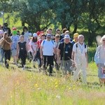 Piesza Pielgrzymka Powołaniowa do Rokitna