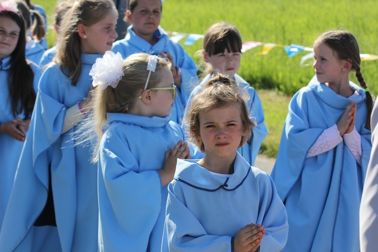 Powitanie ikony MB Częstochowskiej w Bednarach