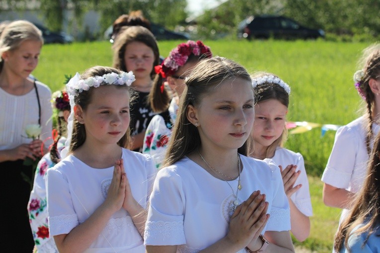 Powitanie ikony MB Częstochowskiej w Bednarach