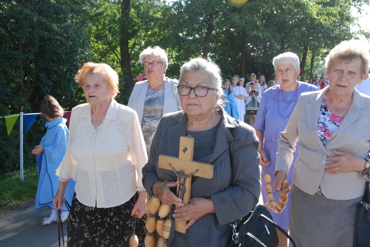 Powitanie ikony MB Częstochowskiej w Bednarach