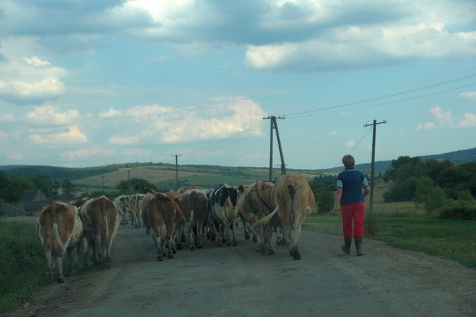 Łemkowszczyzna: Beskid Niski