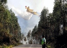 Już 64 ofiary śmiertelne pożaru lasu w Portugalii