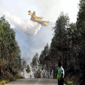 Już 64 ofiary śmiertelne pożaru lasu w Portugalii