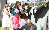 3. Rodzinny Piknik w Międzybrodziu Żywieckim - 2017