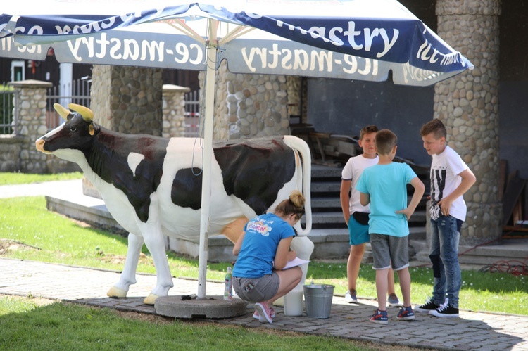 3. Rodzinny Piknik w Międzybrodziu Żywieckim - 2017