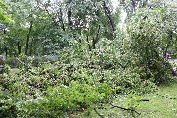 Szkody po nawałnicy w Krakowie