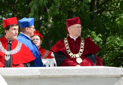 Matka Boża Opolska na ulicach miasta