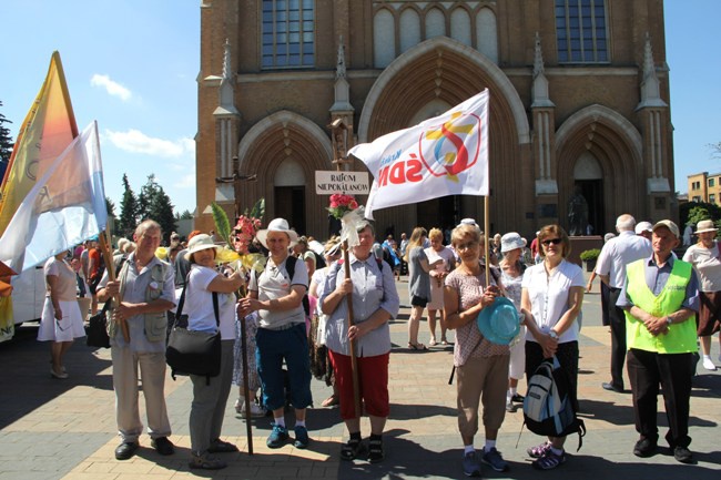 Idą do Niepokalanowa