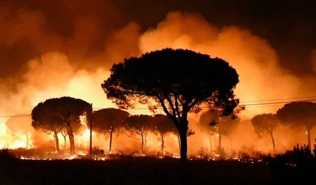 61 Polaków ewakuowanych w związku z pożarem w Hiszpanii