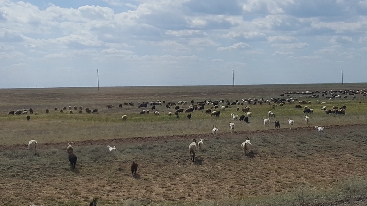 Kazachstan, cz. 6 - Uralsk