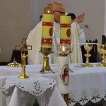 Relikwie papieża w Wadowicach Górnych