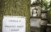 Powązki zniszczone po nawałnicy