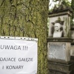 Powązki zniszczone po nawałnicy