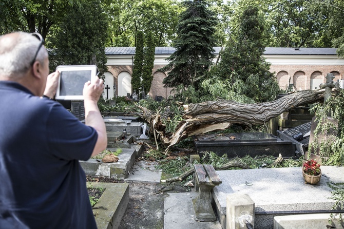 Powązki zniszczone po nawałnicy