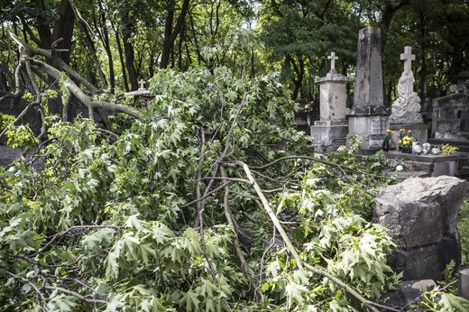 Powązki zniszczone po nawałnicy