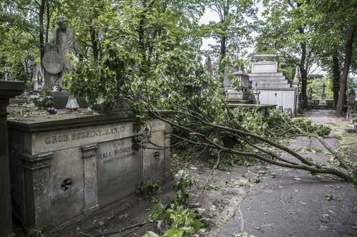 Powązki zniszczone po nawałnicy