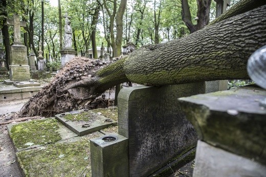 Powązki zniszczone po nawałnicy