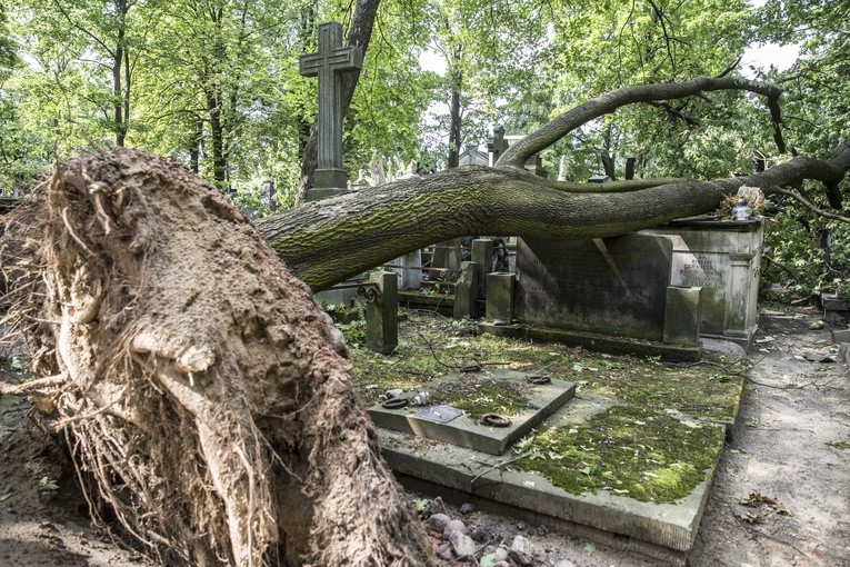 Powązki zniszczone po nawałnicy