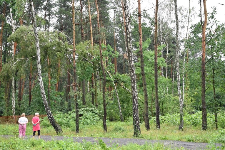 Skutki burz na Mazowszu