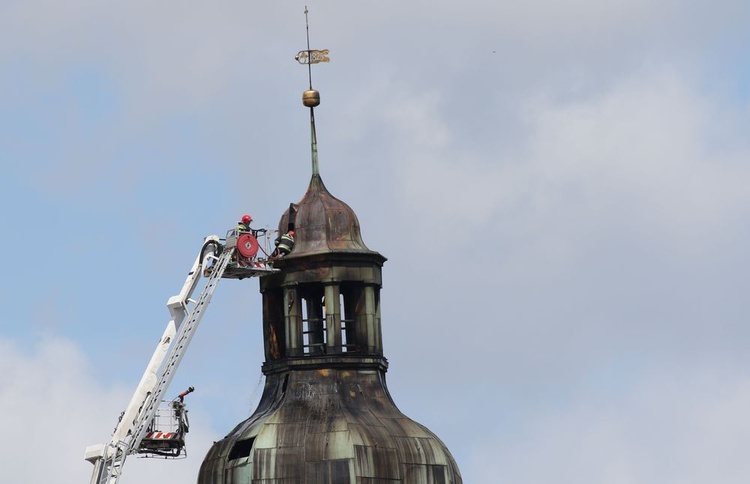 Msza św.-Nadwarciańskie Błonia