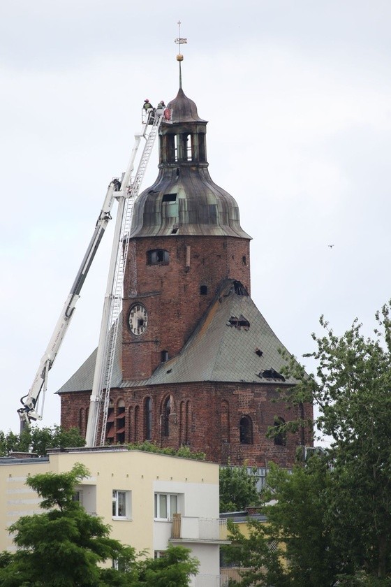 Msza św.-Nadwarciańskie Błonia