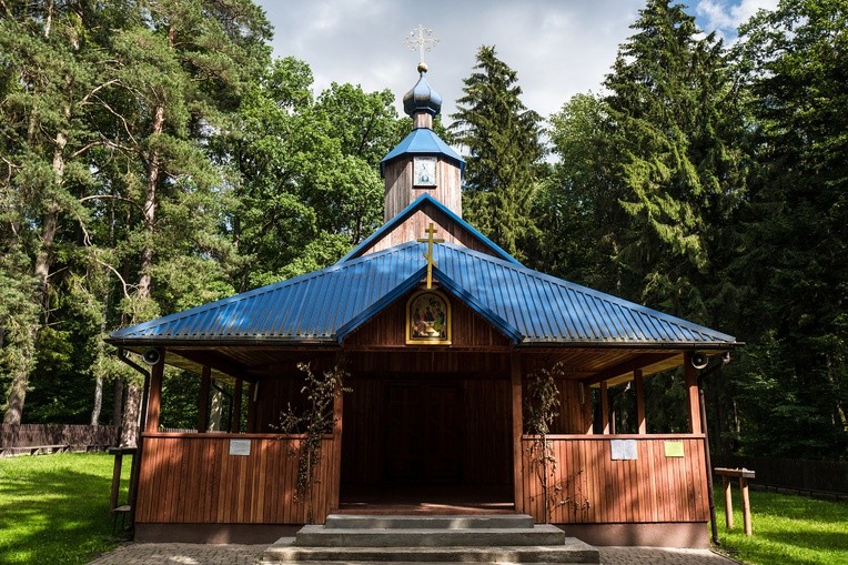 Perły z listy UNESCO. Puszcza Białowieska