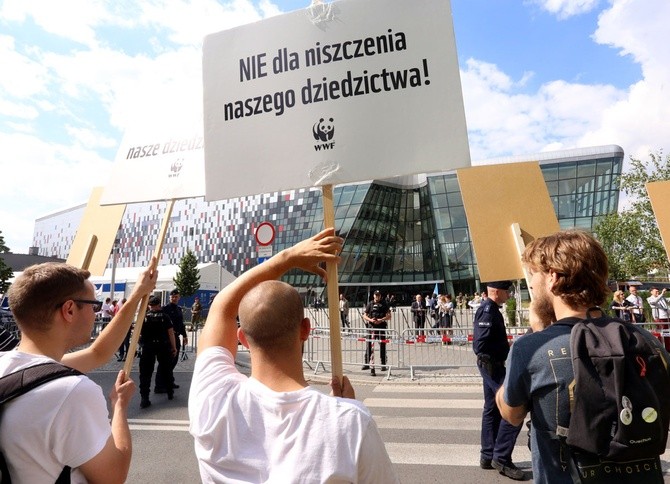 Manifestacje w obronie Puszczy Białowieskiej