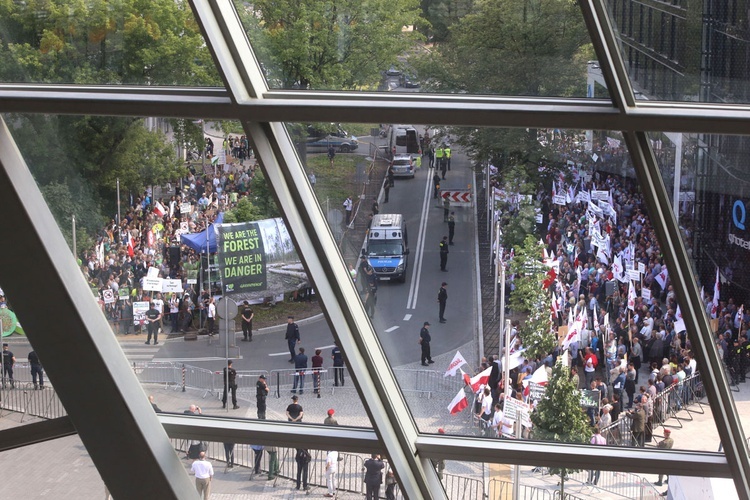 Manifestacje w obronie Puszczy Białowieskiej