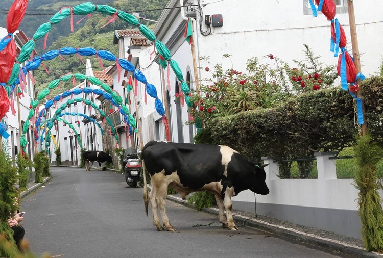 Sao Miguel kraina wulkanów