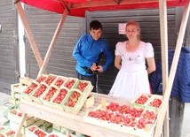 Dla miłośników truskawek i pomagania