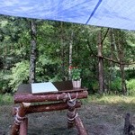 Obóz harcerek w lesie Kuźni Raciborskiej