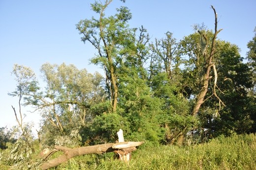 Piątkowe ulewy i sobotnie usuwanie szkód