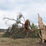 Piątkowe ulewy i sobotnie usuwanie szkód