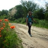 W drodze do Santiago