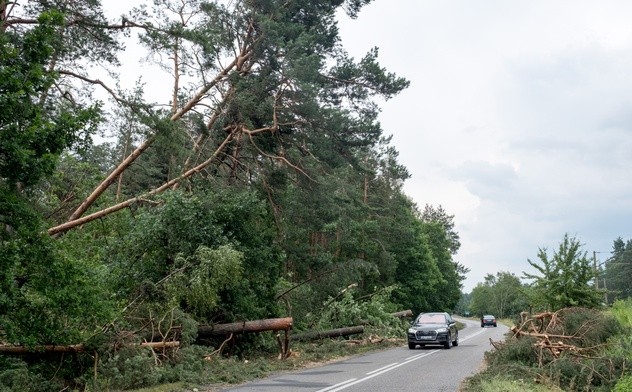 Śląsk: 1500 ha lasów, w tym 800 doszczętnie, zniszczonych po trąbie powietrznej