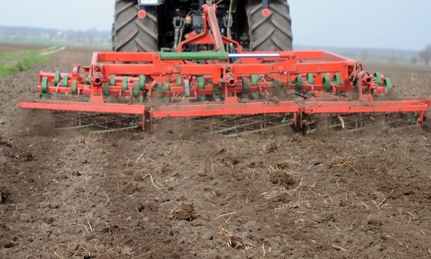 Przed rozpoczęciem siewu warto glebę odpowiednio przygotować