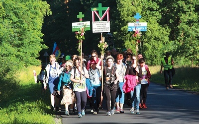 Pielgrzymi wyruszyli  2 lipca, a przed oblicze  Czarnej Madonny  dotarli 12 lipca.