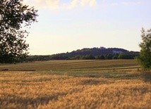 Co mi chcesz powiedzieć święta Anno? (6)