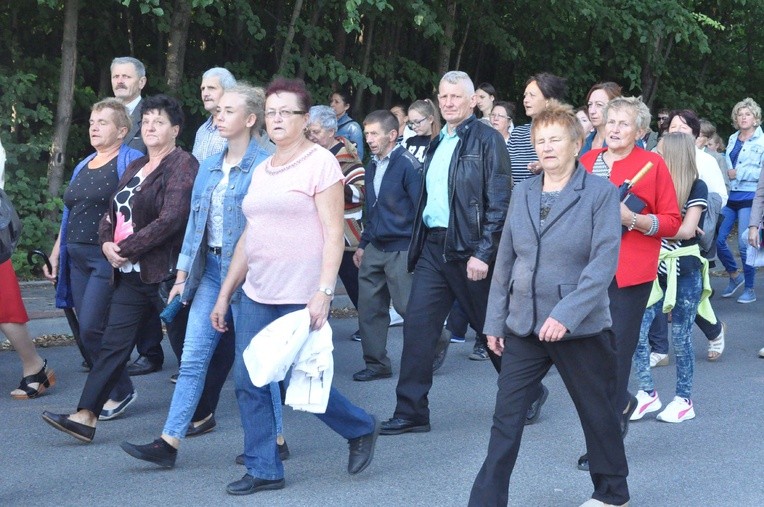 Z Trzetrzewiny i Brzeznej na Strzyganiec