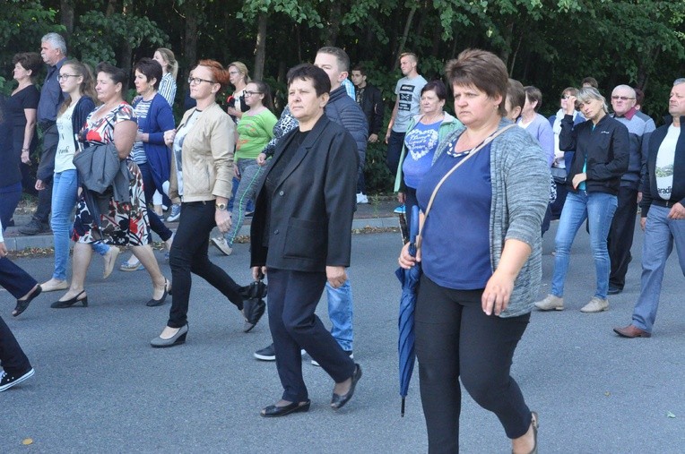 Z Trzetrzewiny i Brzeznej na Strzyganiec