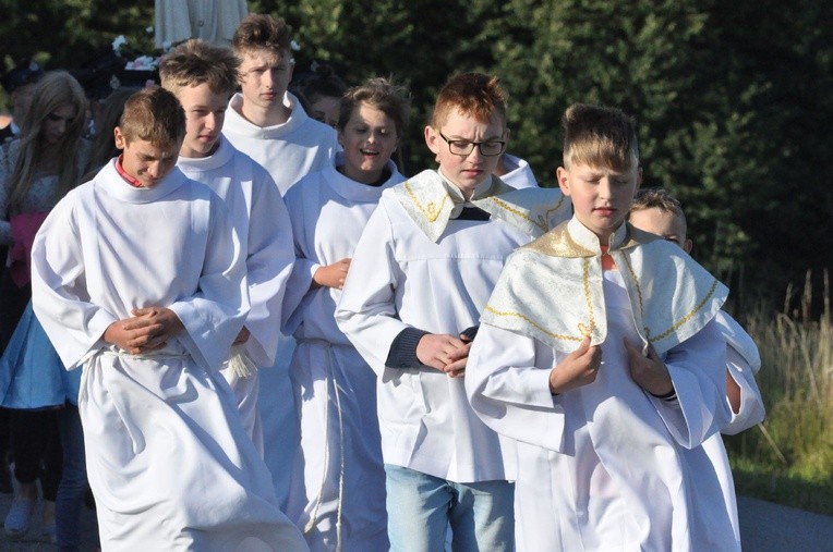 Z Trzetrzewiny i Brzeznej na Strzyganiec