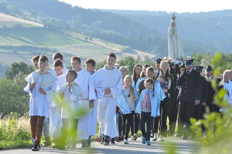 Z Trzetrzewiny i Brzeznej na Strzyganiec