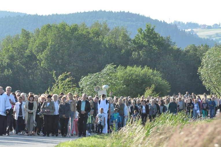 Z Trzetrzewiny i Brzeznej na Strzyganiec