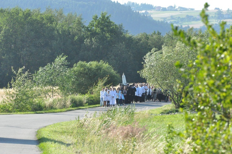 Z Trzetrzewiny i Brzeznej na Strzyganiec