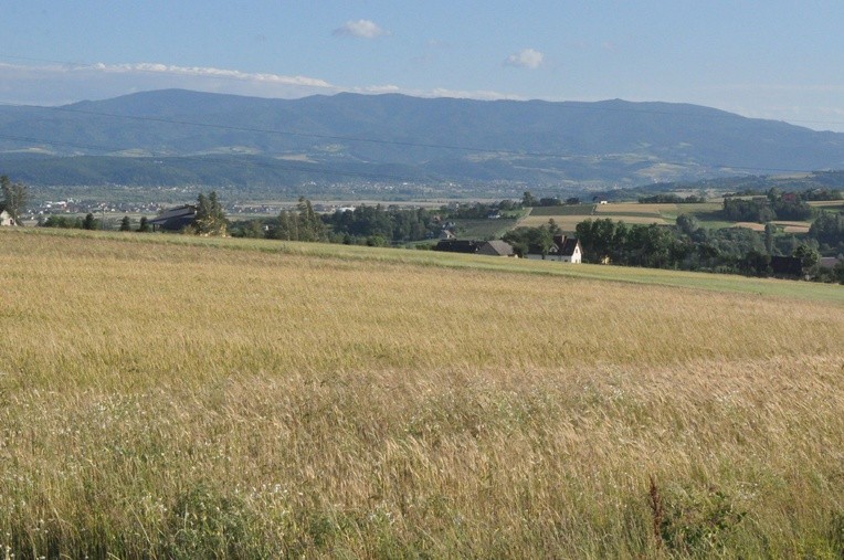 Z Trzetrzewiny i Brzeznej na Strzyganiec