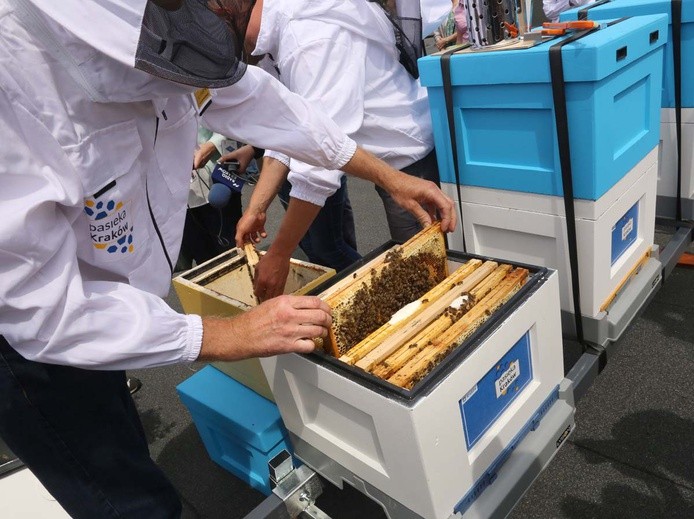 "Pasieka Kraków" w Nowej Hucie