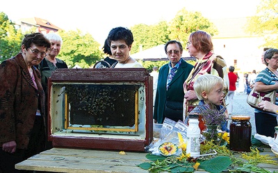 Pszczelarstwo ma w Polsce tysiącletnią tradycję. Sezonowe wystawy pszczelarskie zawsze cieszą się wielkim powodzeniem.
