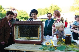 Pszczelarstwo ma w Polsce tysiącletnią tradycję. Sezonowe wystawy pszczelarskie zawsze cieszą się wielkim powodzeniem.