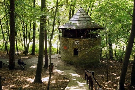Tarnowskie Góry na liście UNESCO